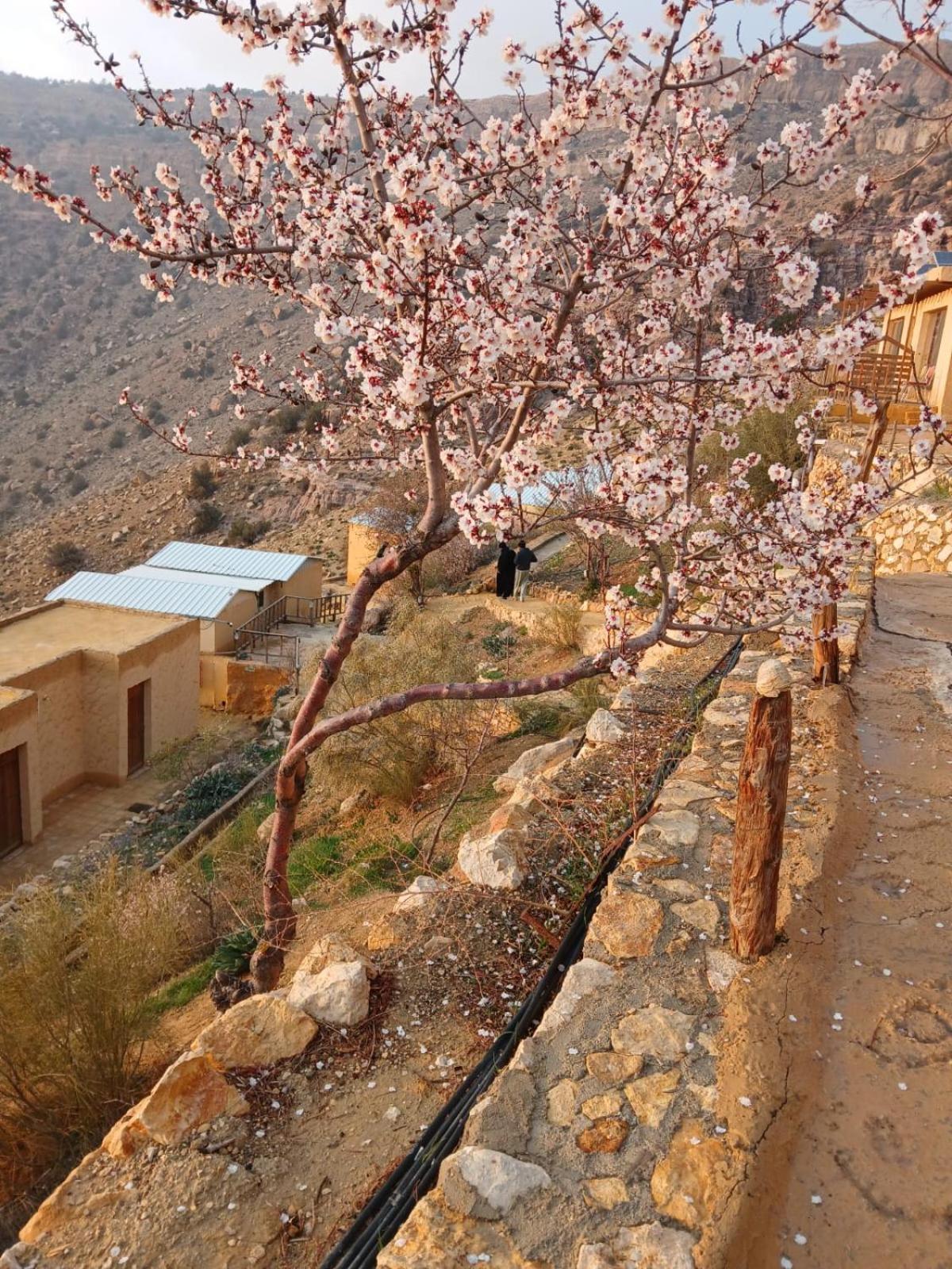 Dana Village Camp-Wadi Dana Eco Camp Buitenkant foto
